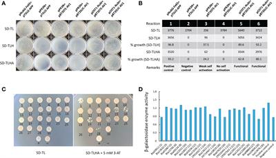Cotton leaf curl Multan virus differentially regulates innate antiviral immunity of whitefly (Bemisia tabaci) vector to promote cryptic species-dependent virus acquisition